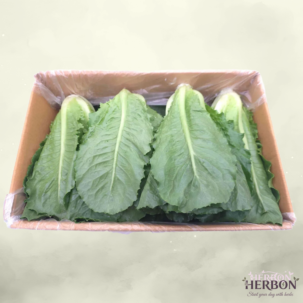 [허브온] 통로메인 / 16년간 전국 호텔 및 레스토랑 공급채소 13,900원