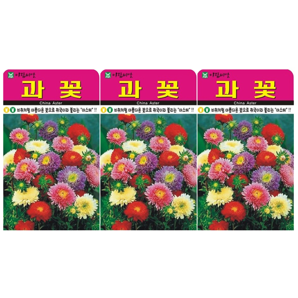 과꽃 씨앗 (합 3000립) 다년생 노지월동 꽃씨, 3개 8,070원