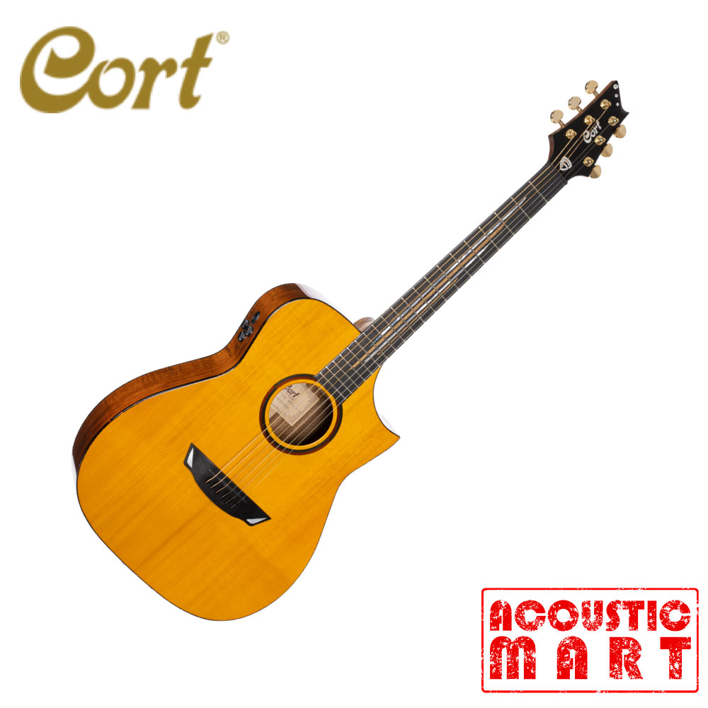 콜트 통기타 CORT FRANK GAMBALE LUXE II 1,090,000원