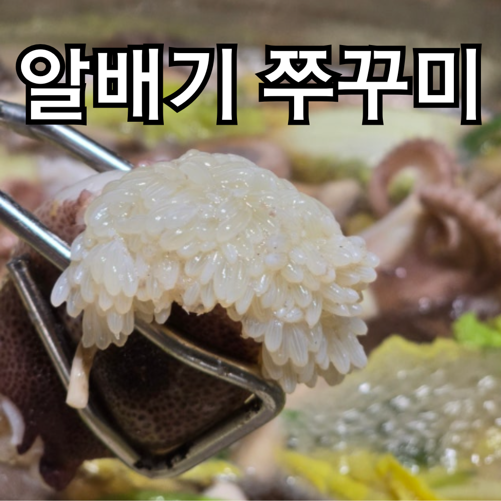 국산 알배기 활 쭈꾸미 당일경매 알수율보장 알쭈꾸미, 1개, 1kg 46,900원