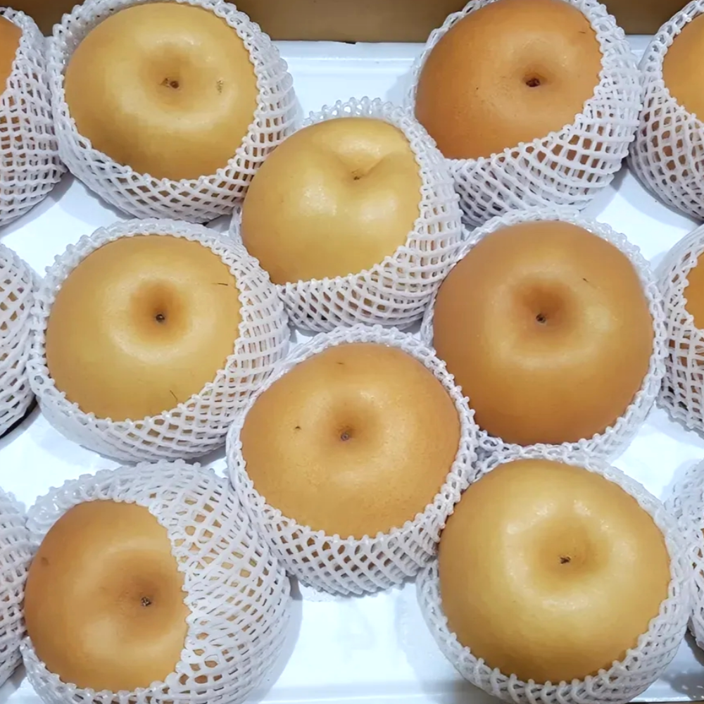 25년 수확 햇 나주배 선물세트 GAP인증 고당도 신고배 26,900원