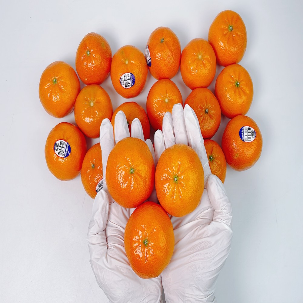 (자체선별) 노씨고집 로얄과 만다린귤, 1개, 정품 5kg 30,800원