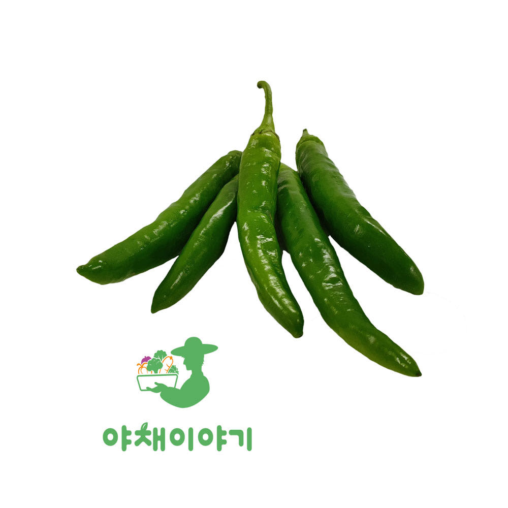 야채이야기 싱싱한 청양고추 5kg 55,000원