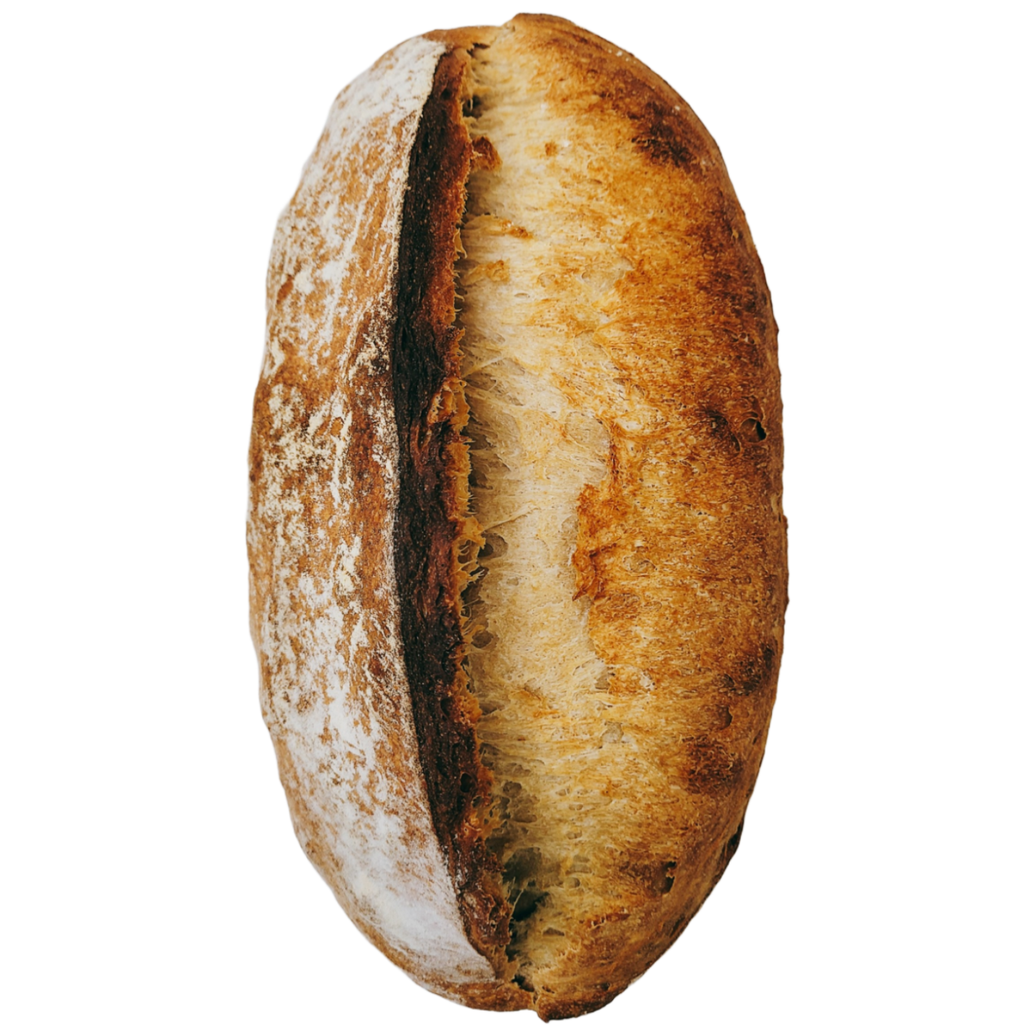 [복수구매 할인]들래미 귀리우리밀 사워도우 우리밀100% 천연발효빵 1000g Oat and Domestic Wheat Sourdough, 1kg, 2개 34,000원