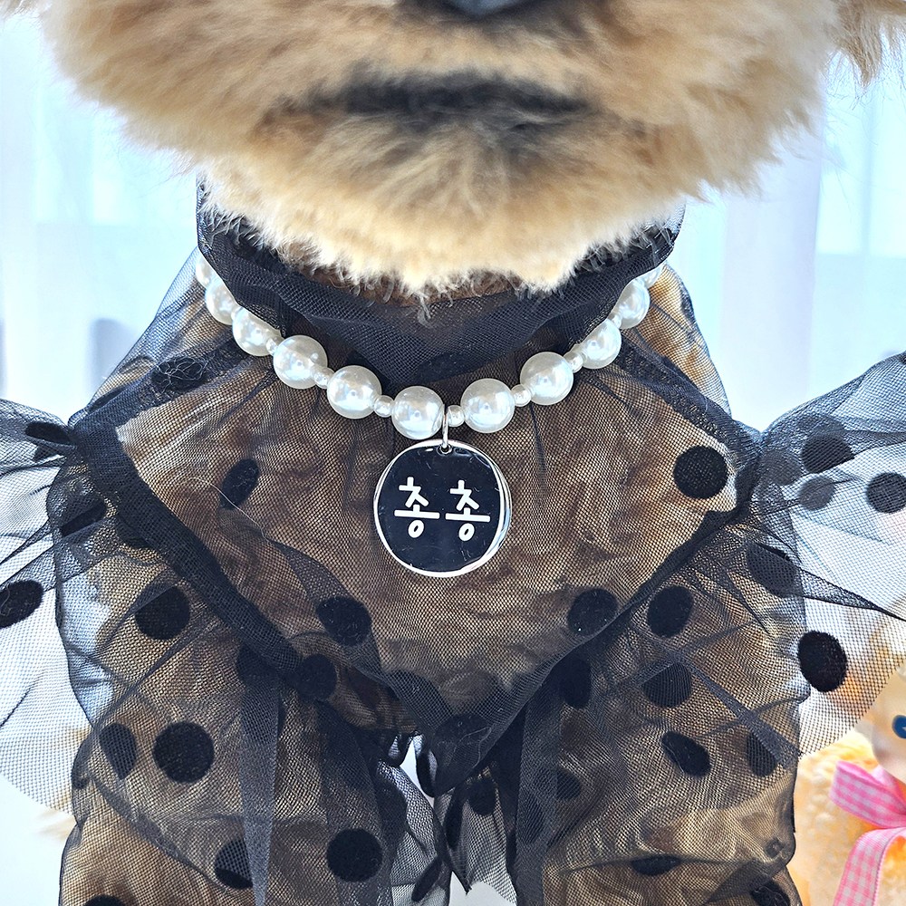 바이굄 강아지 인식표 애견 이름표 반려견 써지컬 스틸 펜던트 엘레강스 진주 모양 목걸이, 1개, 아이보리 8,900원