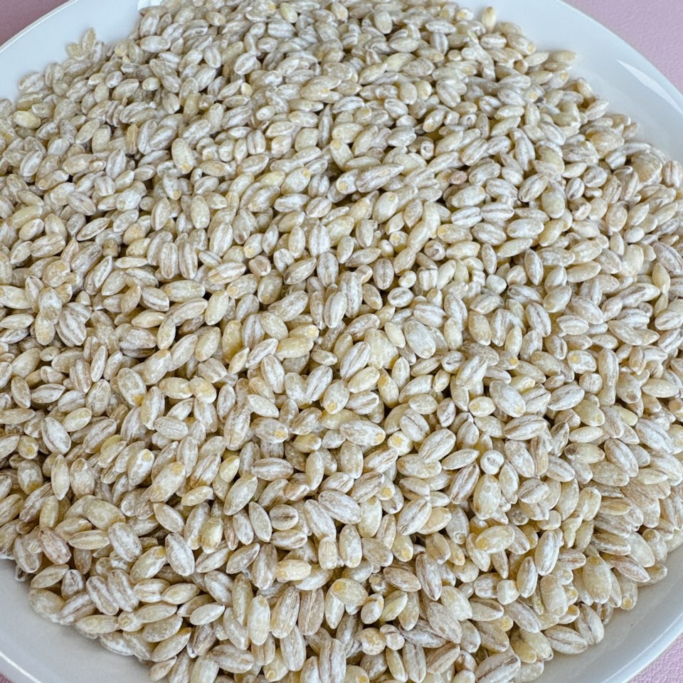 영원농산 25년 늘보리 꽁보리밥 햇보리쌀 5kg 겉보리쌀 18,700원