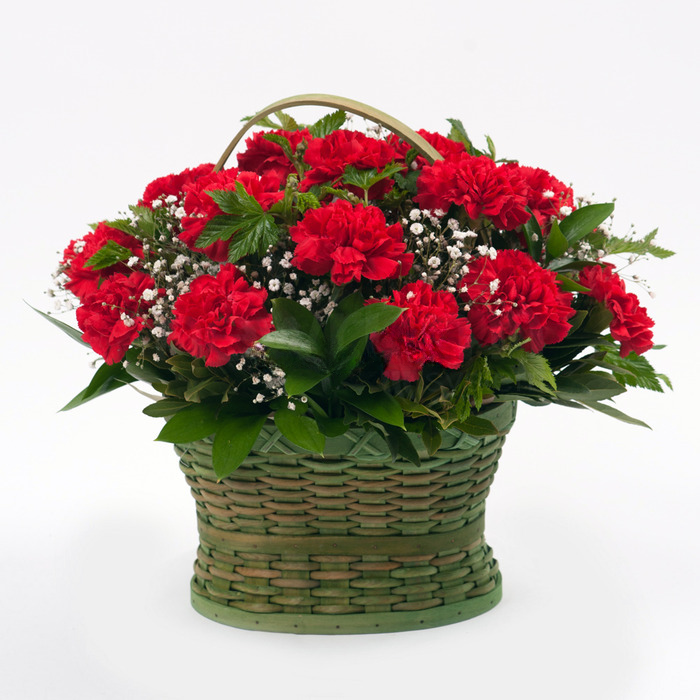 나눔플라워 전국 꽃바구니 생일꽃배달 생일 생신 부모님 환갑 칠순 팔순 축하 선물 승진 정년 퇴직 기념일 와이프 꽃배달서비스 당일꽃배달, 1개, 카네이션바구니 3호 94,000원