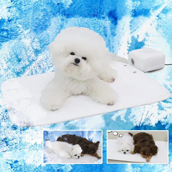 초코펫하우스 강아지 아이스 쿨매트 방석 듀라론 강아지매트(에어쿨러포함) 택1 48,400원