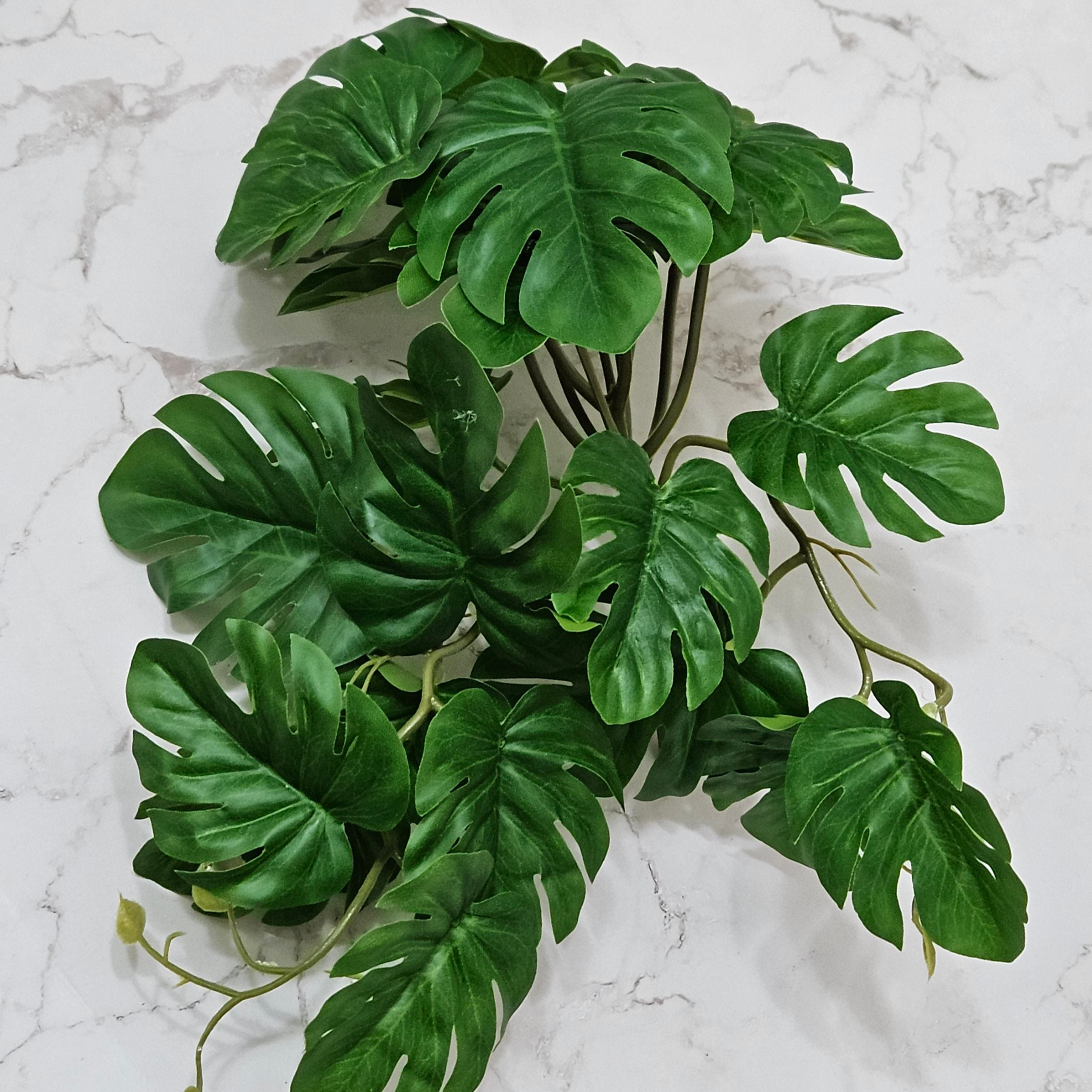 인조넝쿨부쉬 크레스티드 게코 도마뱀 파충류 용품 사육장 꾸미기 인테리어 반짝CR, 1개, 1.몬스테라넝쿨부쉬 10,890원