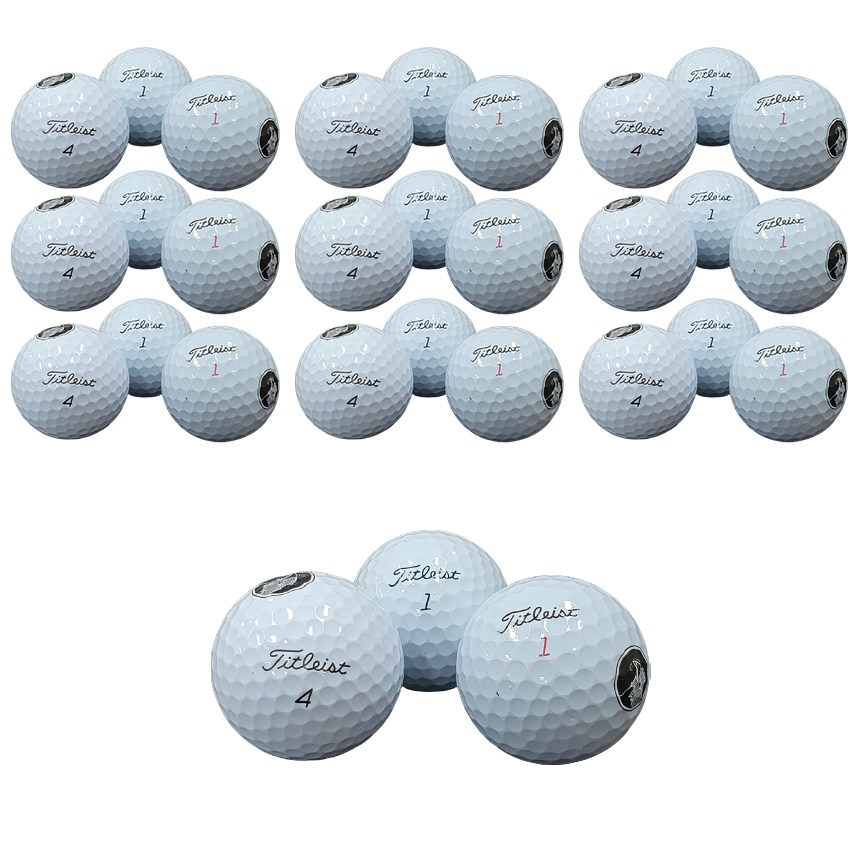 타이틀리스트 PROV1 PROV1X 로스트볼 캐릭터인쇄혼합 19,900원