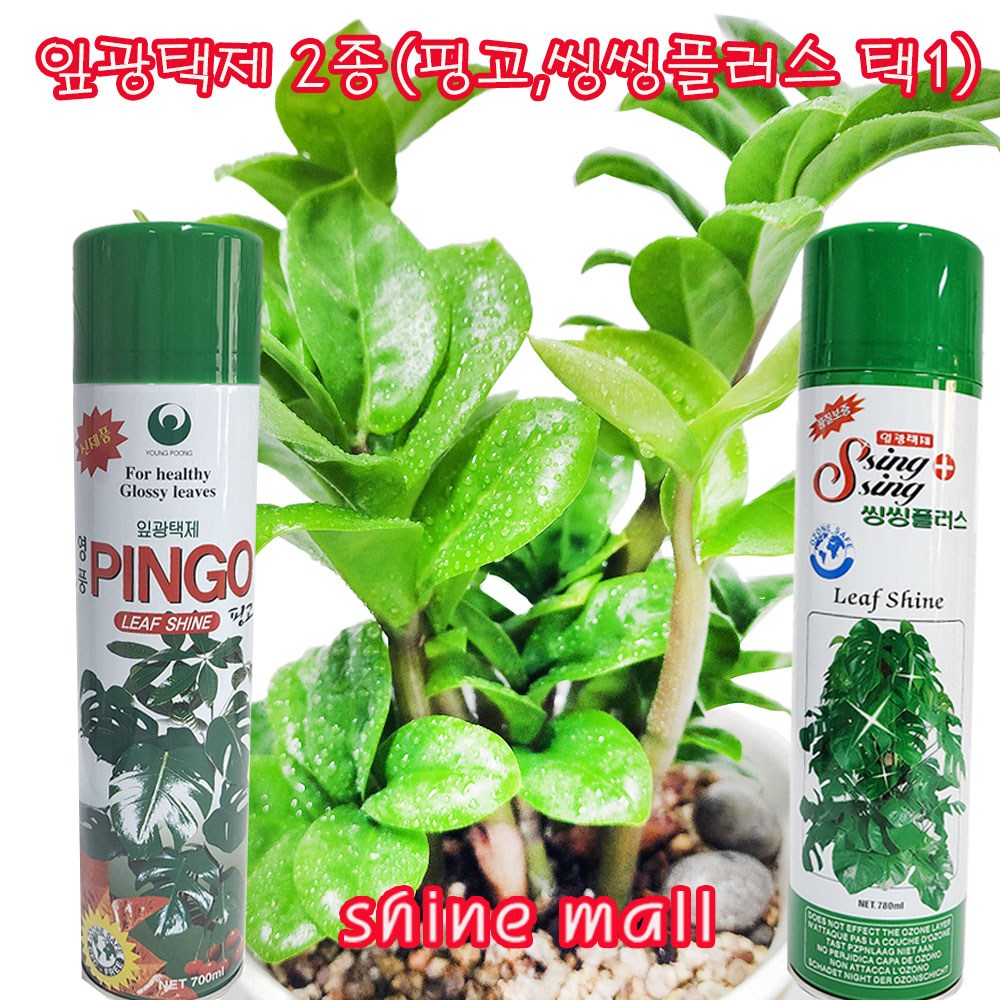 국내산 수분증발 억제제 /식물 잎 광택제 2종 핑고/ 씽씽플러스 1개 선택/ 화분 잎 빤짝반짝 6,990원