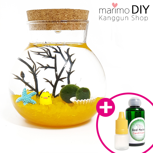 LED어항 350ml세트-마리모 1cm 유리자갈 노랑 diy 키트, 1개 11,900원