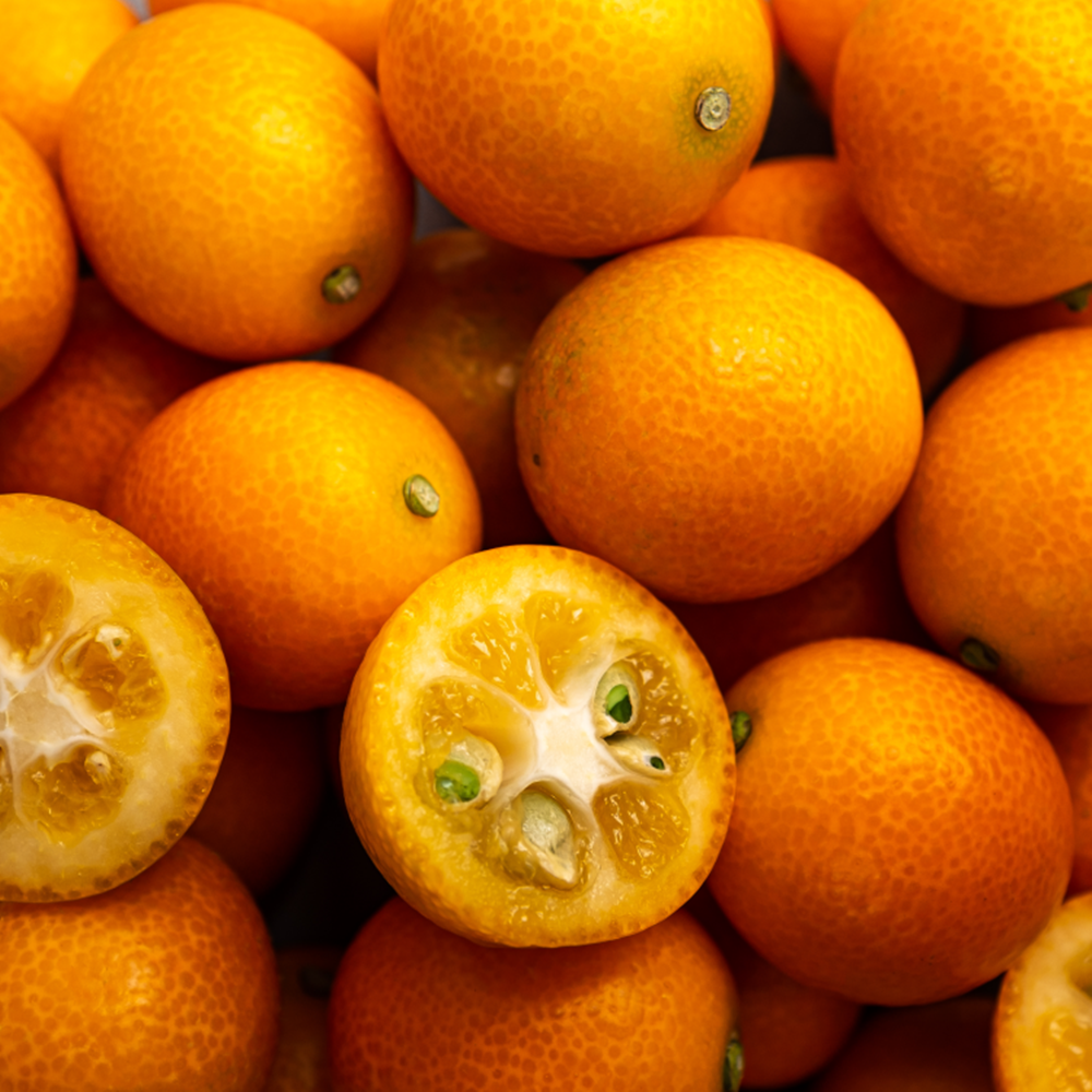 [재구매율1위] 산지직송 당도폭발 금귤 낑깡 27,600원