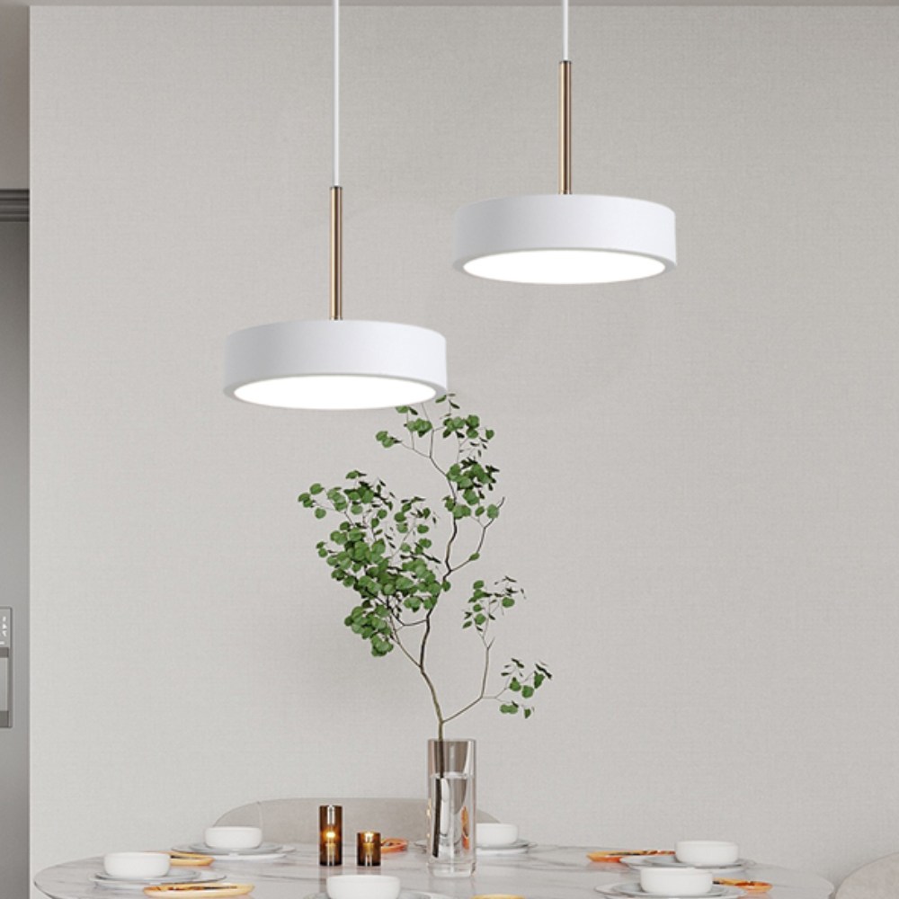 테리아 LED 미니 원형 펜던트 조명 15W 30W 카페 조명 주방 식탁등, 2등 화이트 99,500원