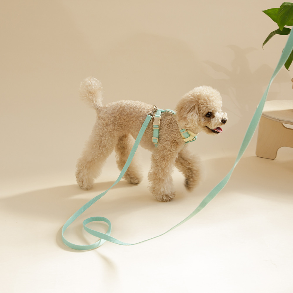 힛찌 강아지 초경량 리드줄 16,600원