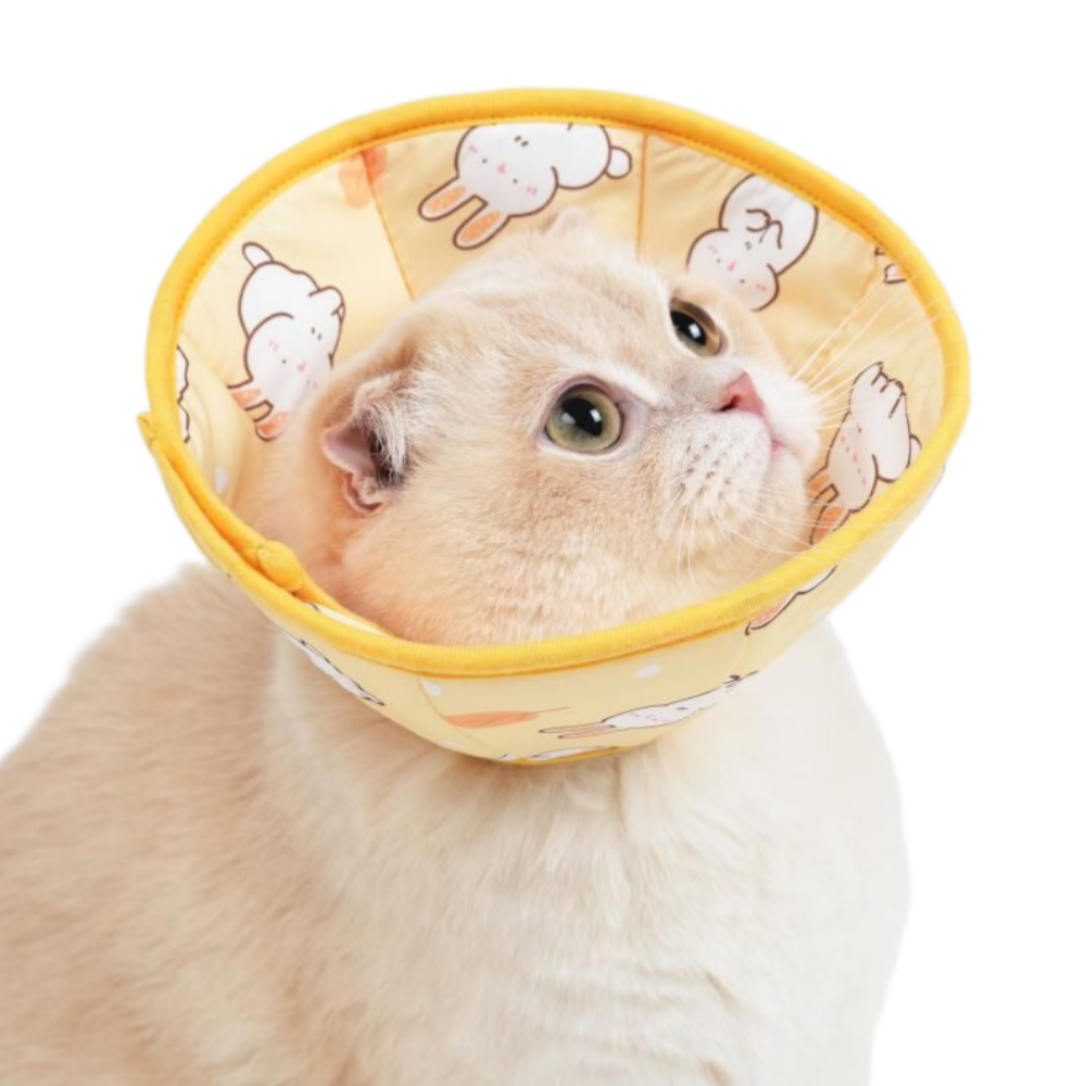 알뜰펫 고양이넥카라 중성화넥카라 강아지 쿠션 초경량 보호대 7,280원