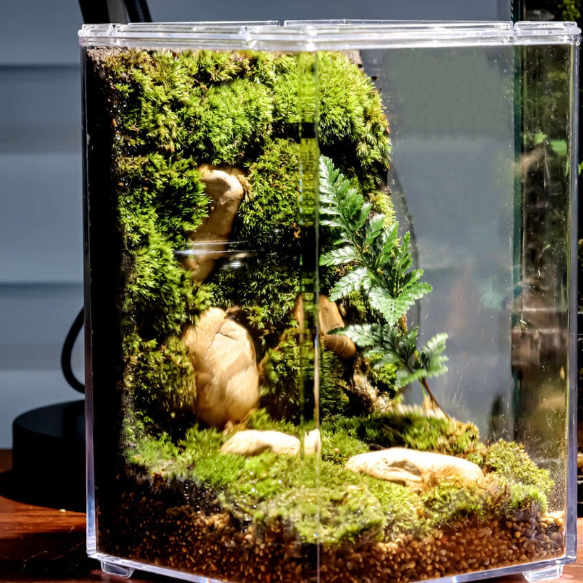 두기테라리움 조용한 숲속 테라리움 diy 키트, 1개 55,000원