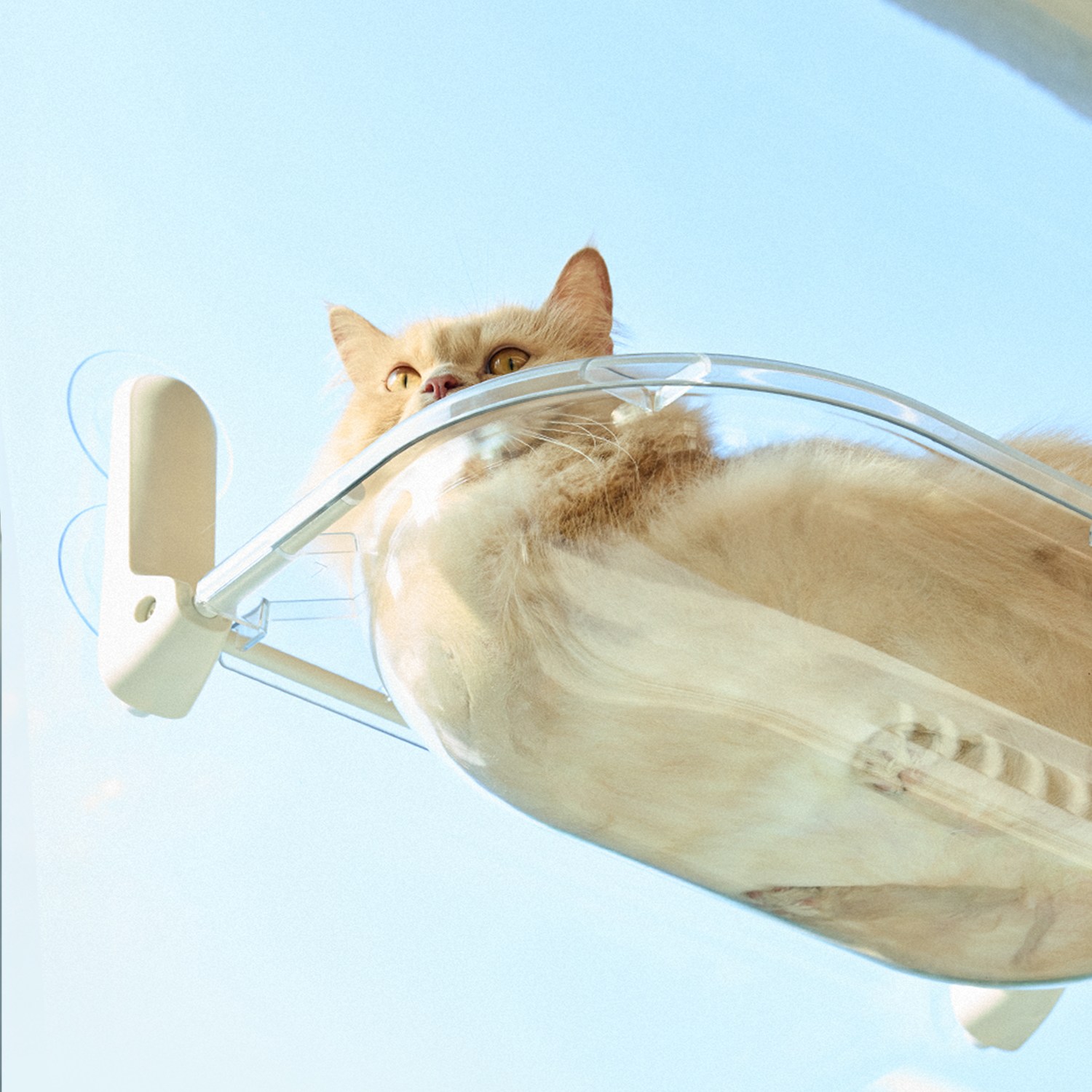 세이펫 창문캣타워 / 윈도우캣타워 32,900원