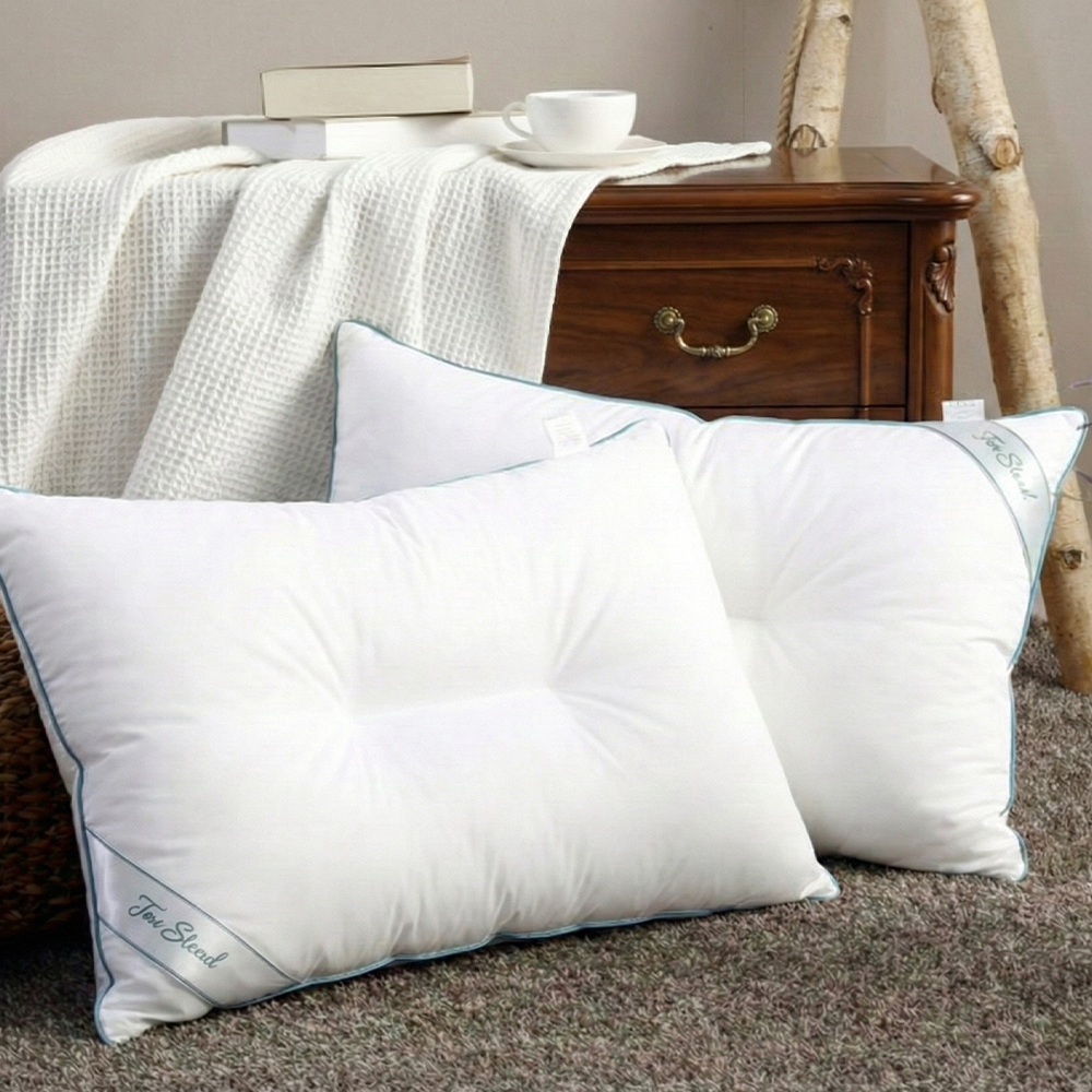 텍스스테드 1+1 블루라인 호텔용 C자형 항균 경추베개솜 지퍼형 22,300원