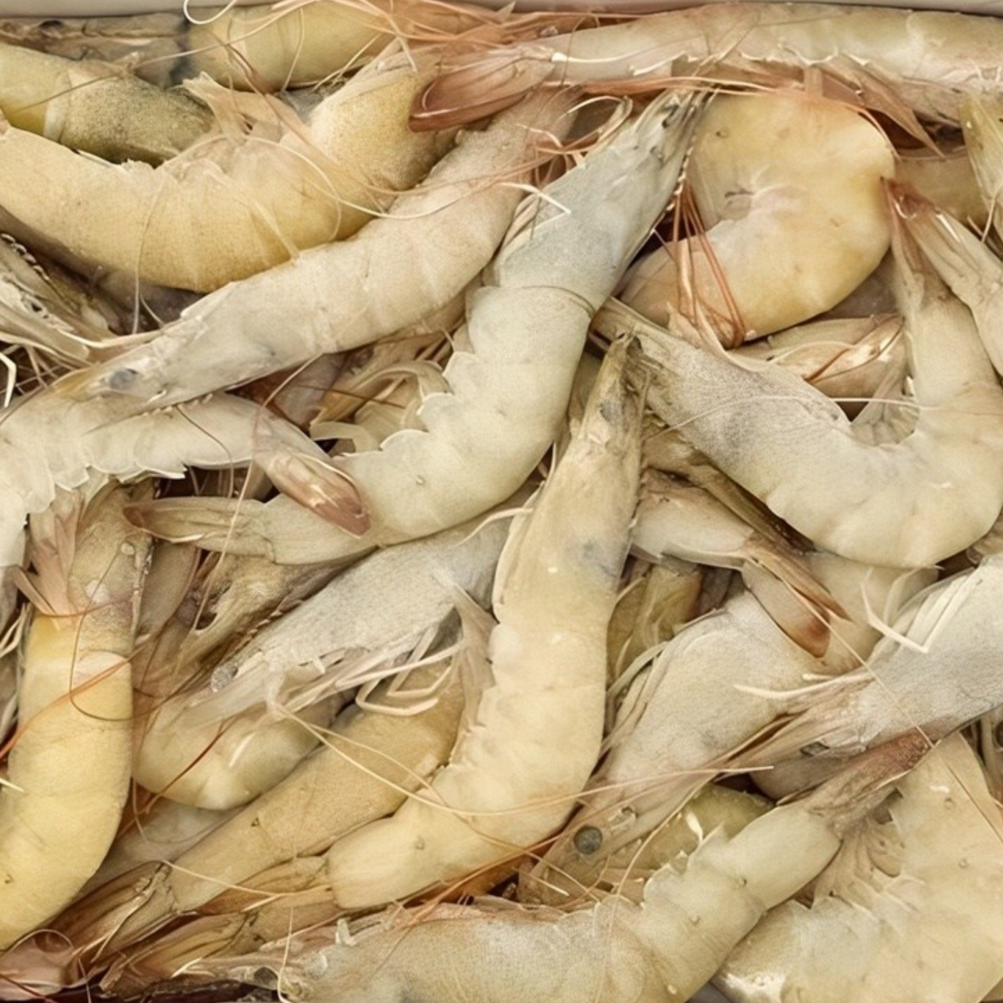 흰다리새우 3140 2kg 페루 대하 생새우 냉동새우 27,590원