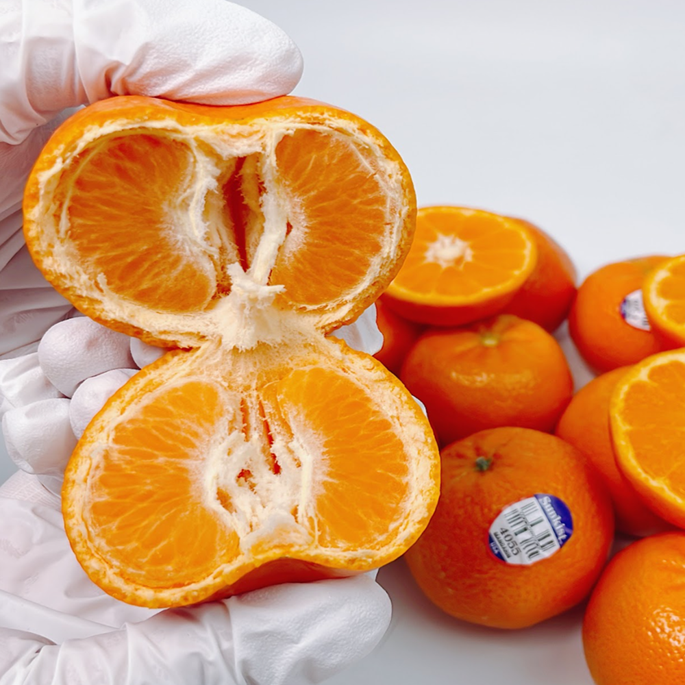 최대14브릭스 고당도선별 미국산 감귤 만다린 10,780원