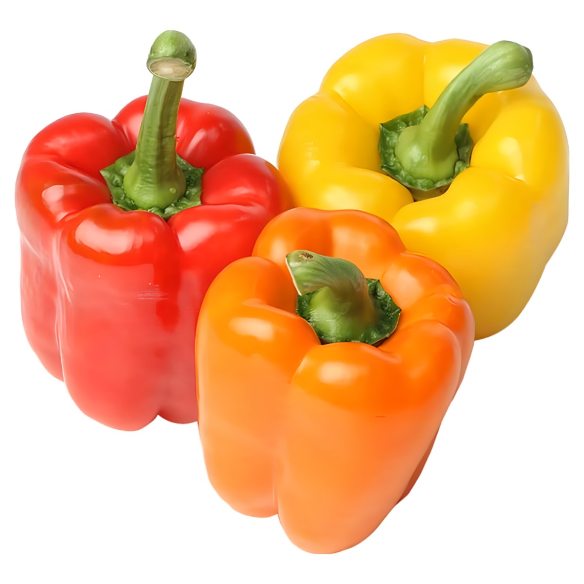 친환경 마음밭 국내산 유기농 무농약 파프리카 30,800원