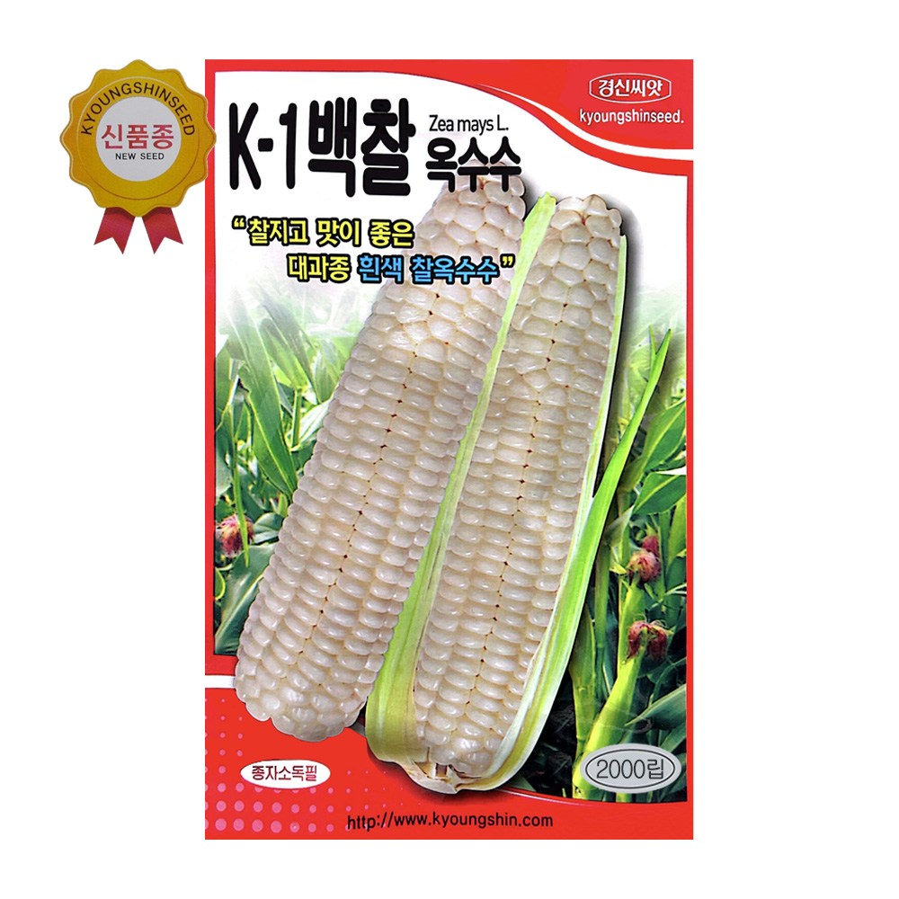 백찰옥수수 2000립 파종용 옥수수 씨앗 경신종묘 34,910원