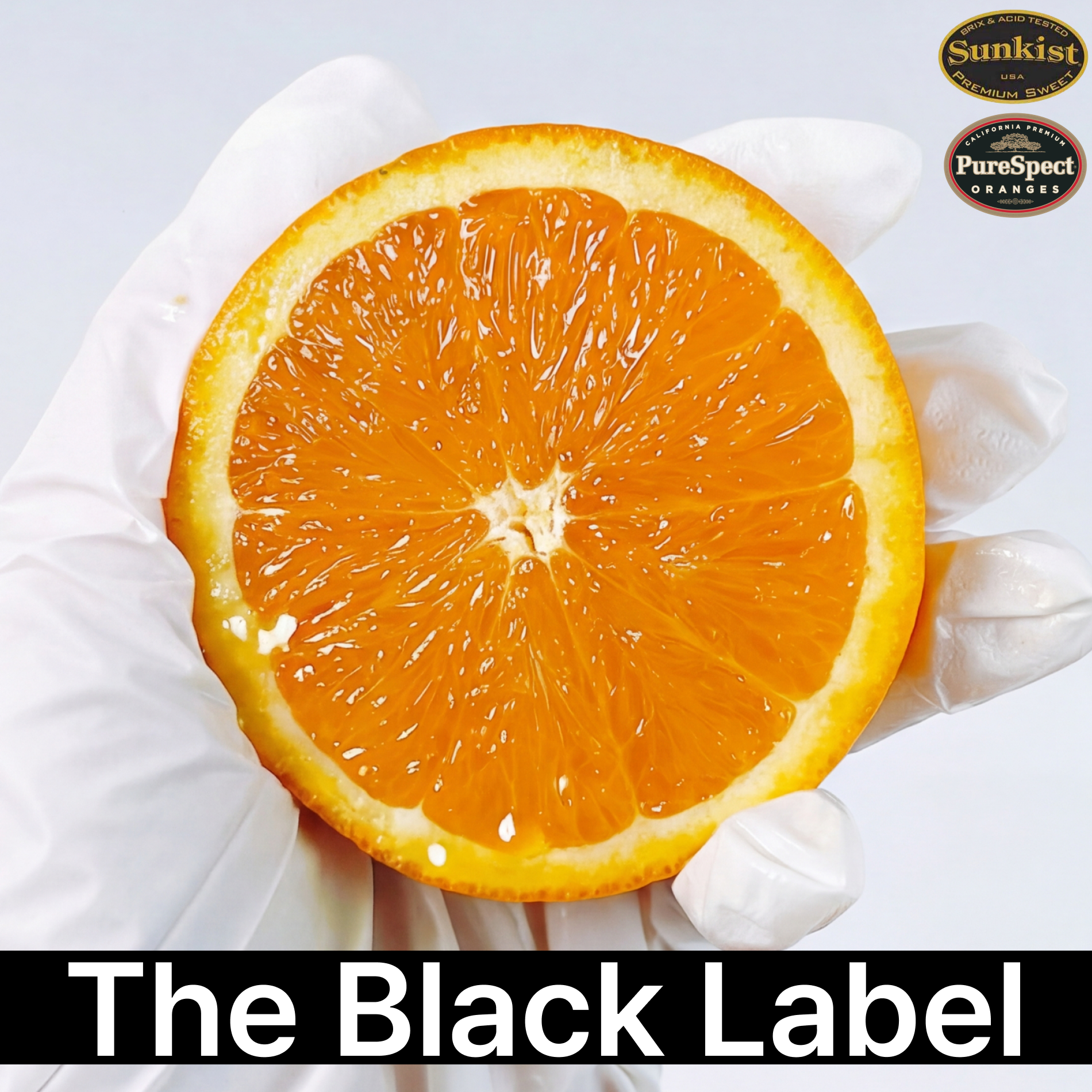 [정품보장] 고당도 블랙라벨 오렌지 대과/중소과 33,400원