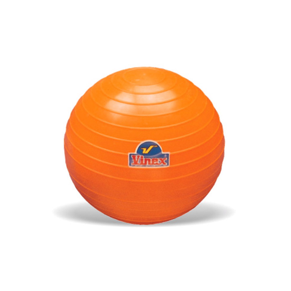 다우리 비넥스 실내외 겸용 포환 4kg 연습용 PVC 표면 72,000원