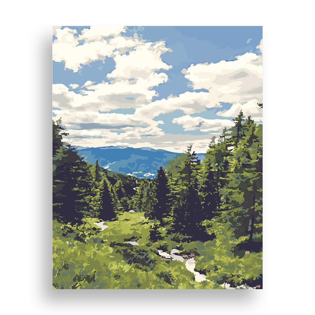 위메이크 페인팅 DIY 명화그리기 세트 포레스트 40x50 36,900원