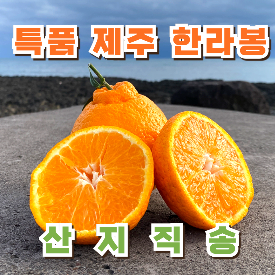 [최대 16brix] 프루티 산지직송 초고당도 가정용 한라봉 27,300원