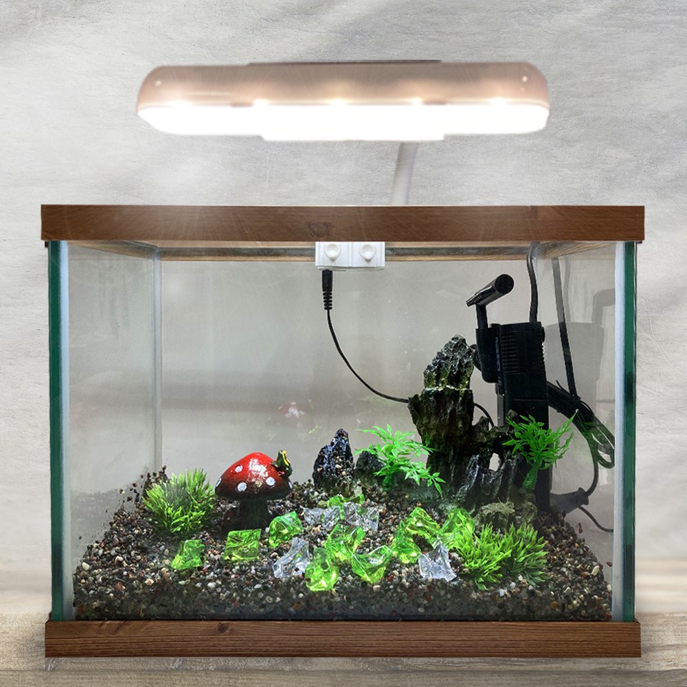 입문자용 유리어항 풀세트 수족관 구피 베타 열대어 구피키우기 물고기 39,500원