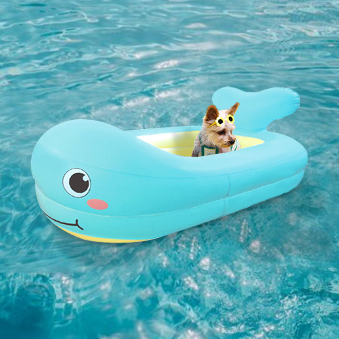 딩동펫 강아지 동물튜브 14,600원