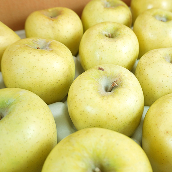 [미식한가] 새콤달콤 황금사과 시나노골드(가정용) 5kg / 과수선택 29,900원