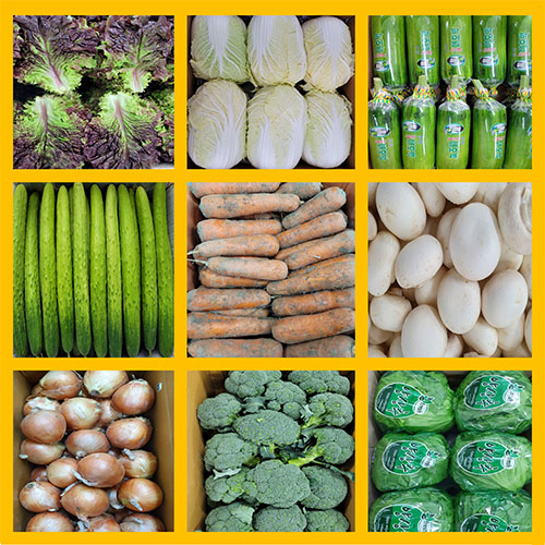 야채왕 간편장보기 소포장야채 감자 양파 당근 상추 버섯 로메인 오이외 30종 2,800원