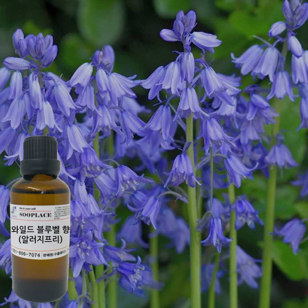 수플레이스 와일드블루벨 향(알러지프리) 10ml 프래그런스오일 2,500원