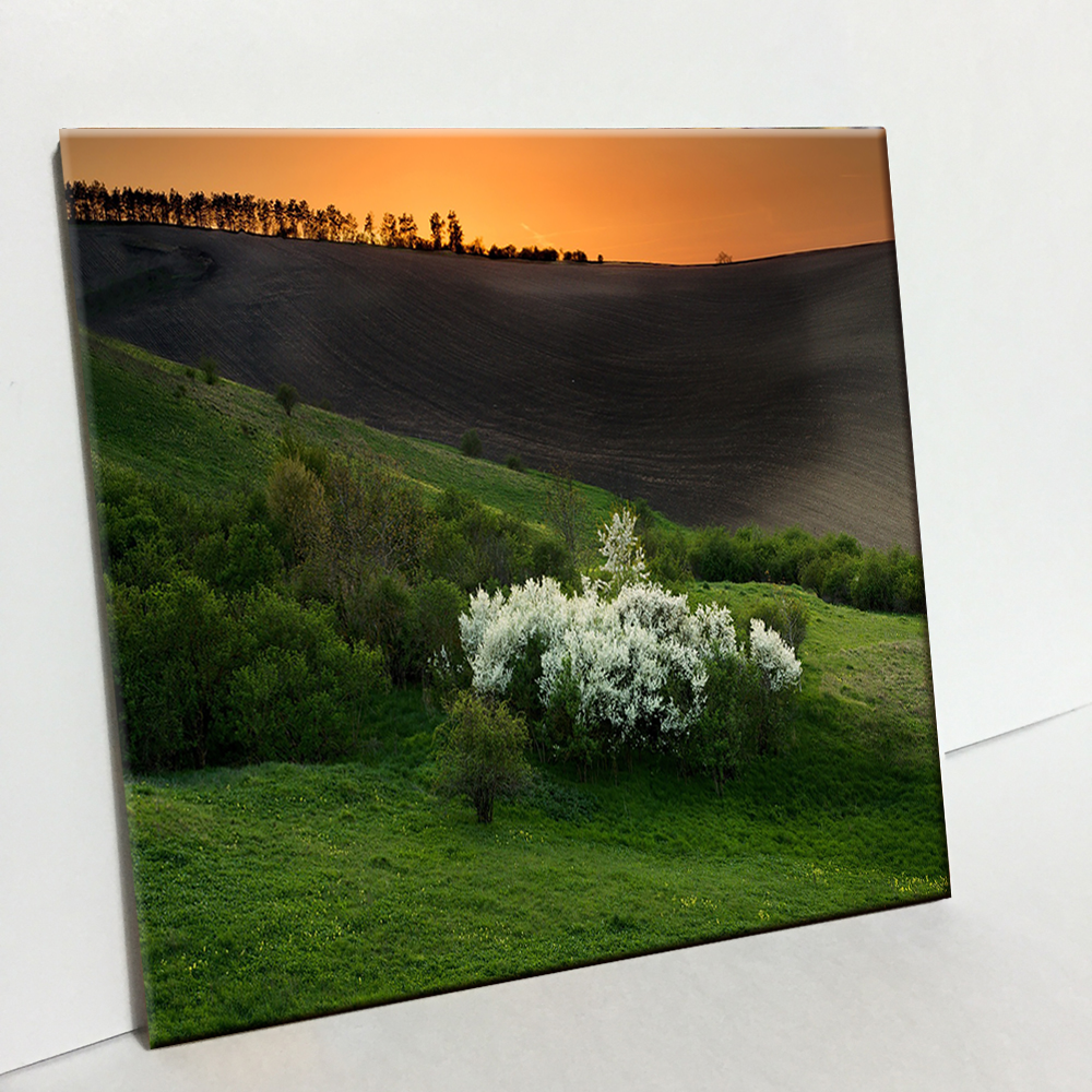 에이치티피 프라하의 자연 소성타일 C1343 11,430원