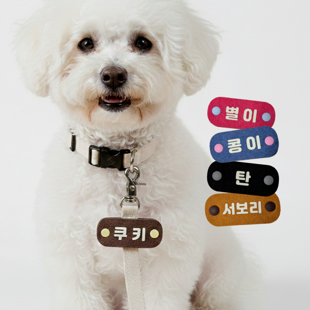 야광 강아지 인식표 반려견 이름표 명찰 네임택, 1개, 블루(분홍단추) 7,800원