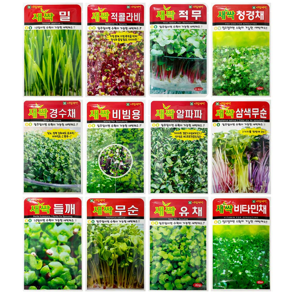 와이쇼핑 소독되지 않은 새싹씨앗 21종 새싹재배, 6)케일, 1개 2,300원