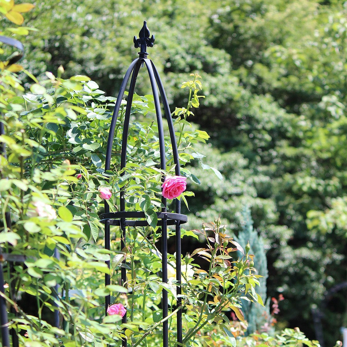 [코스트코] 오벨리스크 철제 덩굴시렁 슬림 2.0m/발코니, 테라스, 실내 모두 사용 가능/넝쿨식물이 타고 올라가기 쉬움/장미덩굴시렁/가든용품/정원소품/ 정원아치 27,500원