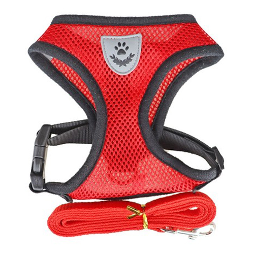 씨에스소울 반려동물 베이직 컬러 하네스 L 4,380원