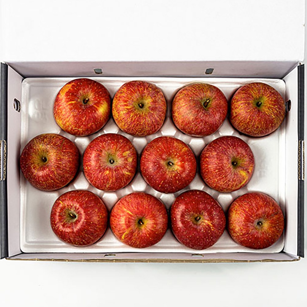 [상위1%생산자직송] 경북 청송 사과 명절 선물세트, 1박스, 5kg 특대과 (11-13과) 65,500원