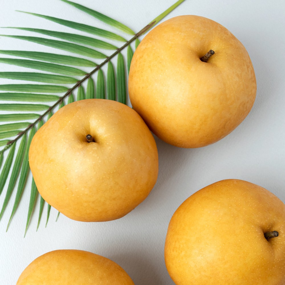 다복 맛콤과일 나주배 16,920원