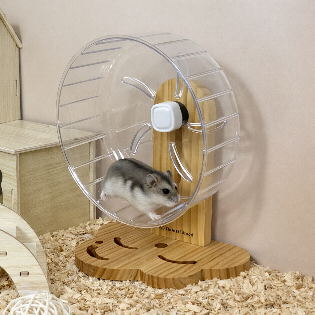 햄찌무드 햄스터 무소음 아크릴 쳇바퀴 + 원목 거치대 14,500원