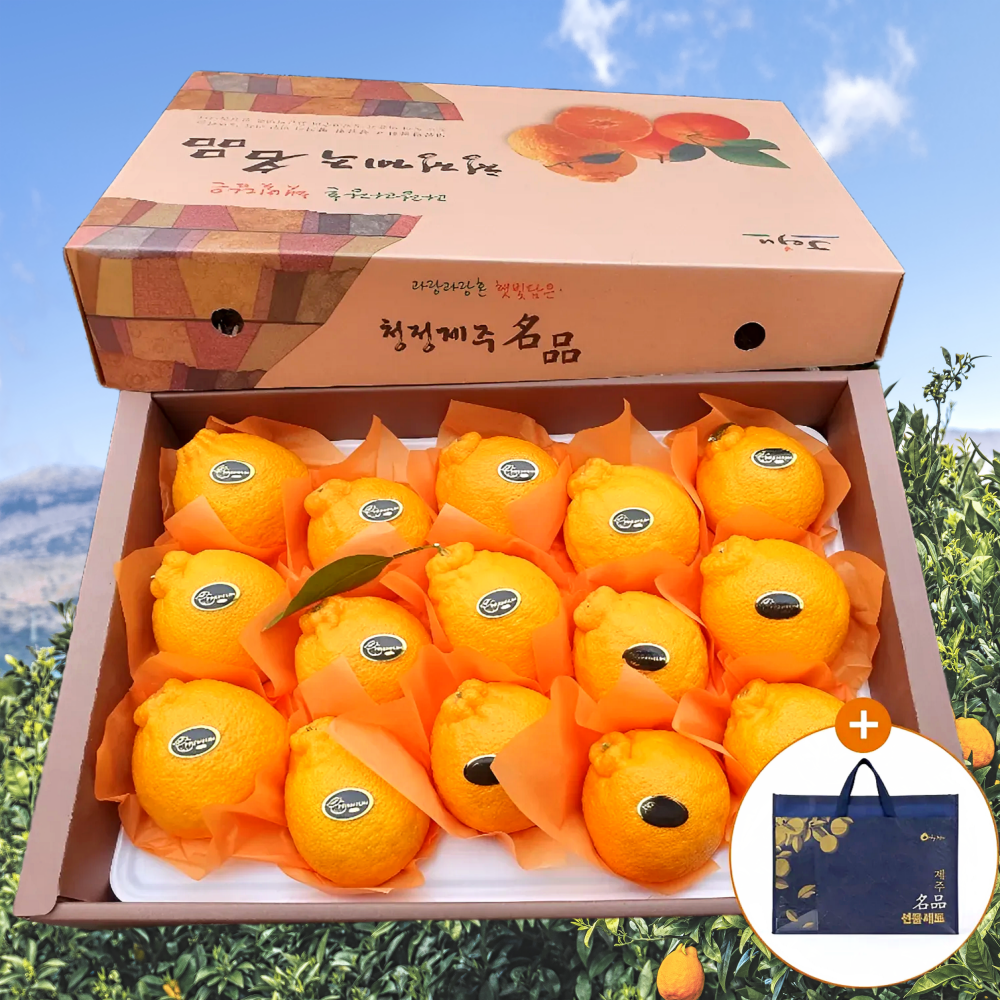 [설맞이초특가] 백화점납품 제주우수농가 한라봉 선물세트 27,650원