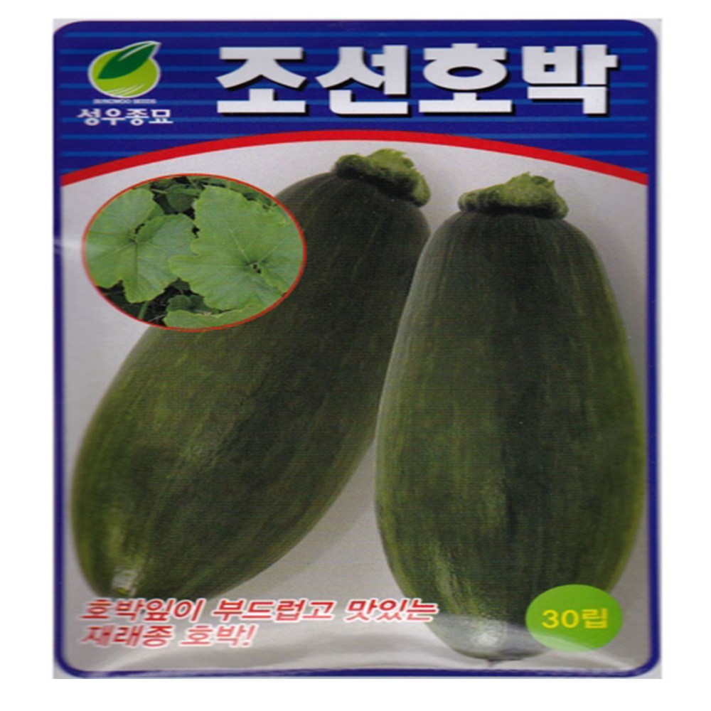 베스트 쥬키니 호박 씨앗 30립 수량성 좋고 상품성 뛰어난 호박씨 종자 20,500원