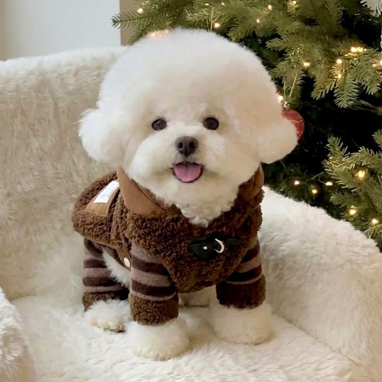 테디 토글 양털 스웨이드 강아지코트 겨울옷 S, 2XL까지 33,800원