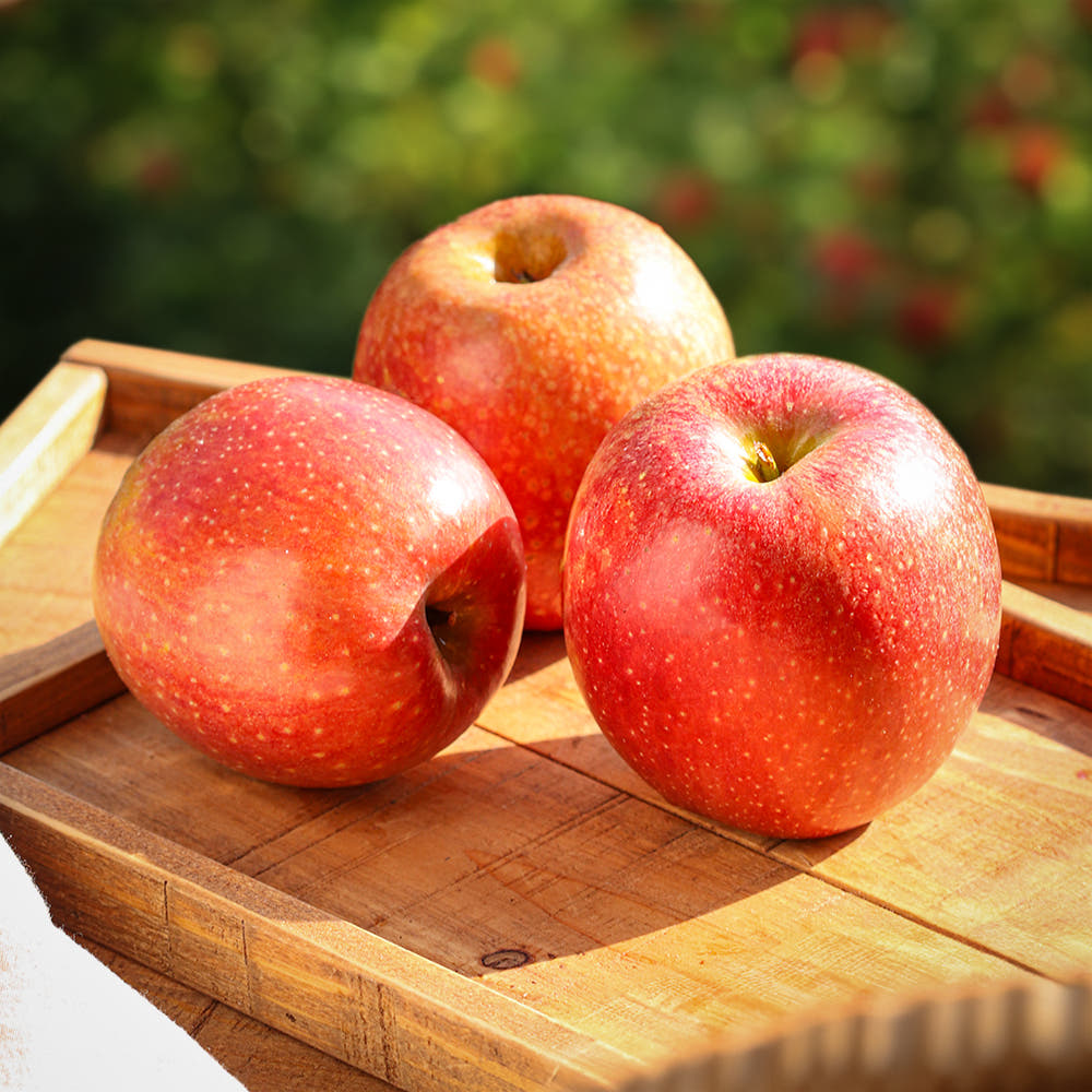 16Brix이상 프리미엄 고당도 햇 부사 사과, 1세트, 중과 3kg (10-14과) 프리미엄 50,900원