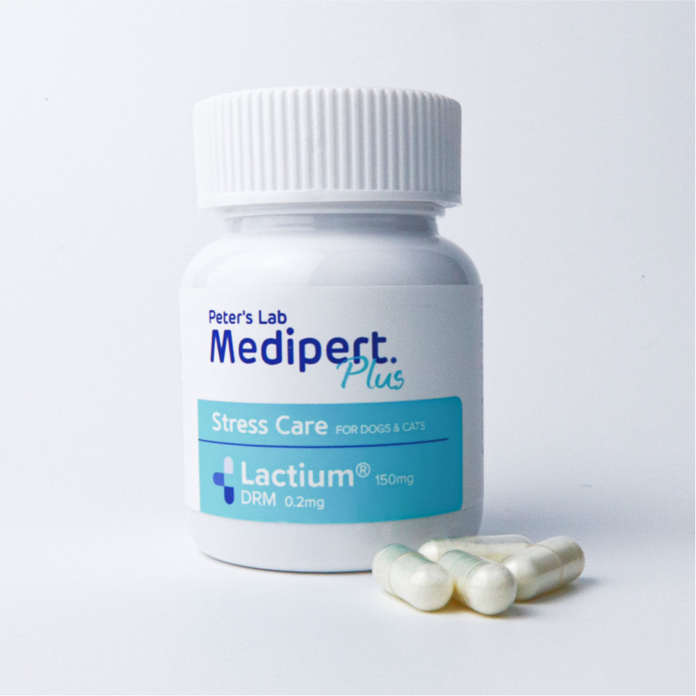 피터스랩 메디퍼트 플러스 강아지 고양이 락티움 진정제 MCT오일 체중조절제 영양제, 30정, 스트레스완화/안정/집중력관리, 1개 36,500원