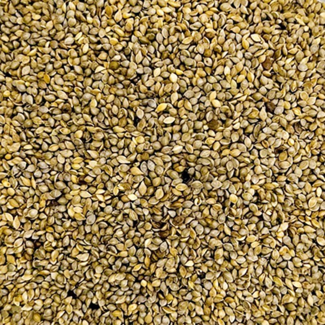 피 씨앗 물세척 고온 살균 앵무새 모이 먹이 사랑 핀치 카나리아 핀치, 1개, 100g 1,200원